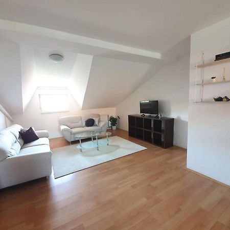 Apartment Lily Near Zagreb Airport 벨리카 고리차 외부 사진