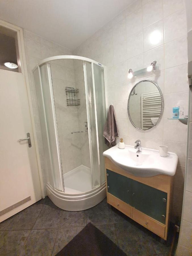 Apartment Lily Near Zagreb Airport 벨리카 고리차 외부 사진